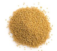 Yellow mustard seeds peeli sarson  250 gm