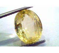 Yellow sapphire Unheated untreated pukhraj oval 7.5 ct