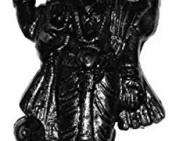 Shani murti for chhaya daan