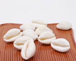 Kodi white kaudi  koudi 11 piece