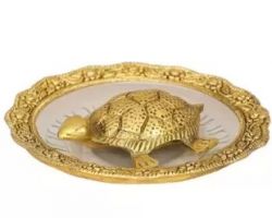 Tortoise with plate in metal