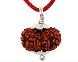 11 mukhi Rudraksha in silver cap 11 face Rudraksha with silver cap