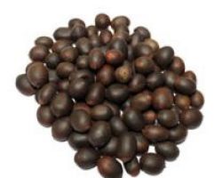 Kamalgatta  beads lotus beads kamalgatta beez