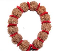 7 mukhi Rudraksha bracelet7 face Rudraksha bracelet  maha laxmi bracelet