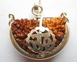 1face rudraksh with silver cap 1 mukhi ek mukhi rudraksh with silver cap