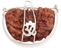one face rudraksh with silver cap 1 mukhi rudraksh with silver cap ek mukhi