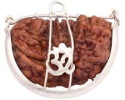 1face Rudraksha pendant with silver cap 1 mukhi Rudraksha with silver cap ek mukhi