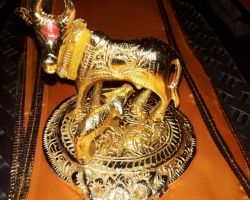 Cow statue Cow sculpture gomata