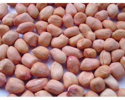Moongfali  peanut raw organic  groundnut 500 gm