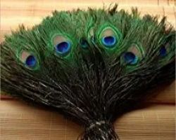 Peacock feathers bunch original morpankh set of 25