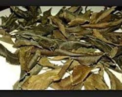 Dry  harsingar leaves parijat leaves dried night Jasmin leaves