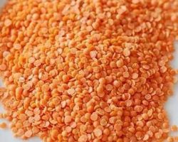 Masoor dal split masur red lentils split ( tuti hui) 500gm
