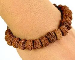 7mukhi Rudraksha Bracelet 7 face rudraksha bracelet 15  beads