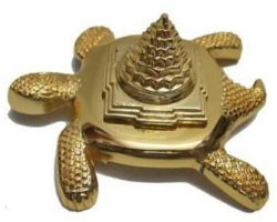 Tortoise shriyantra brass  kachhua shriyantra meru 1.5 inches