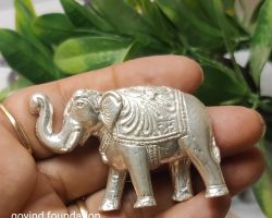 Silver elephant trunk up 200gm Solid  chandi ka thoss hathi soond upar