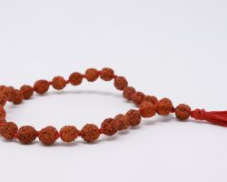 Rudraksha jaap mala 27 beads original Rudraksha jap mala 8mm