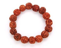 5 face Rudraksha bracelet 5 mukhi rudraksha bracelet five face rudraksh bracelet