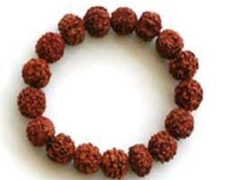 6Face Rudraksha bracelet 6mukhi rudraksh bracelet 16 beads