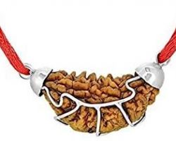 1face rudraksha 1 mukhi rudraksh with silver cap 1 face rudraksh silver cap 1 mukhi