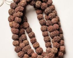 Rudraksha mala 5 mukhi big size bead rudraksha mala 54 beads