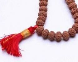8 mukhi Rudraksha mala 8 face rudraksh mala 11 beads