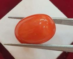 Japanese coral Stone Munga japanese 6.25 ratti