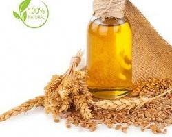 Wheatgerm oil pure edible 50ml