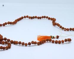 Rudraksh kanthi mala  Rudraksha mala small beads 108 beads , Rudraksh neck mala