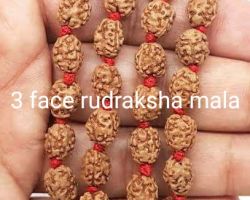 3 Face Rudraksha mala 3 Mukhi Rudraksha mala 54 beads