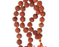 6 face rudraksh mala  6 mukhi rudraksha mala 36 beads