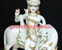 Marble krishna idol with cow Marble stone krishna statue with cow code 5