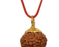 5 face rudraksh with gold caping 5 mukhi rudraksha gold cap  rudraksha gold pendant