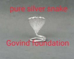 Pure silver snake silver sheshnaag chandi ka naag double ring
