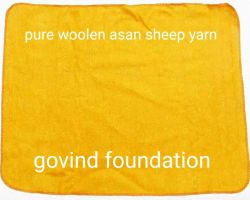 Yellow woolen asan big size pure wool sheep yarn peela uni asan 32×24 inches