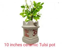 Tulsi pot ceramic Tulsi plant pot 10 inches