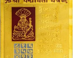 Padmavati yantra copper gold plated enerziged Padmawati yantra