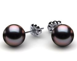 Black pearl earrings Tahitian black pearl earrings