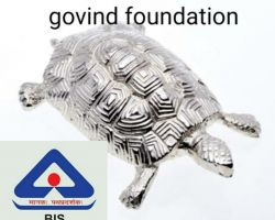 Silver tortoise pure silver turtle 100gm