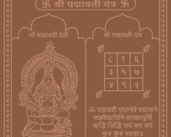 Padmavat yantra copper padmawati yantra energized