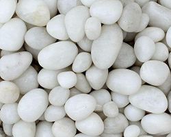 Pebbles white pebbles for garden 5 kg
