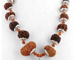 Indra mala 1to 14 mukhi Rudraksha mala