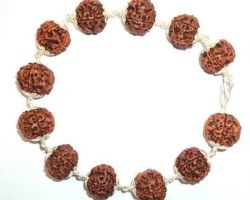 5face Rudraksha Bracelet with silver cap 5 mukhi Silver Rudraksha bracelet with silver cap