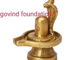 Brass shivling with nag 2.5 inches pure brass shivling