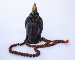 Rudraksh  mala rudraksha jaap mala energized 10mm 108 beads