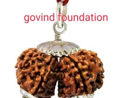 Gorishankar rudraksha with silver cap