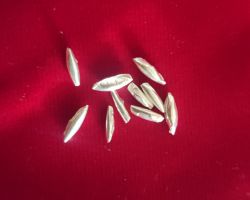 Pure Silver rice chandi ke chaval 11 piece