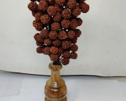 Rudraksh tree pot 5 face rudraksha tree vase 11 inches
