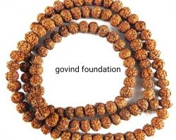Chikna rudraksha mala chikna pathri rudraksha mala 108 beads certified