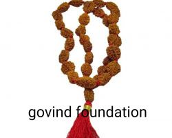 2 mukhi rudraksha mala 27 beads 2 face rudraksh mala