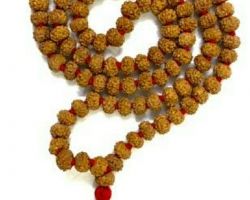 6 face rudraksh mala 108 beads 6 mukhi rudraksha mala